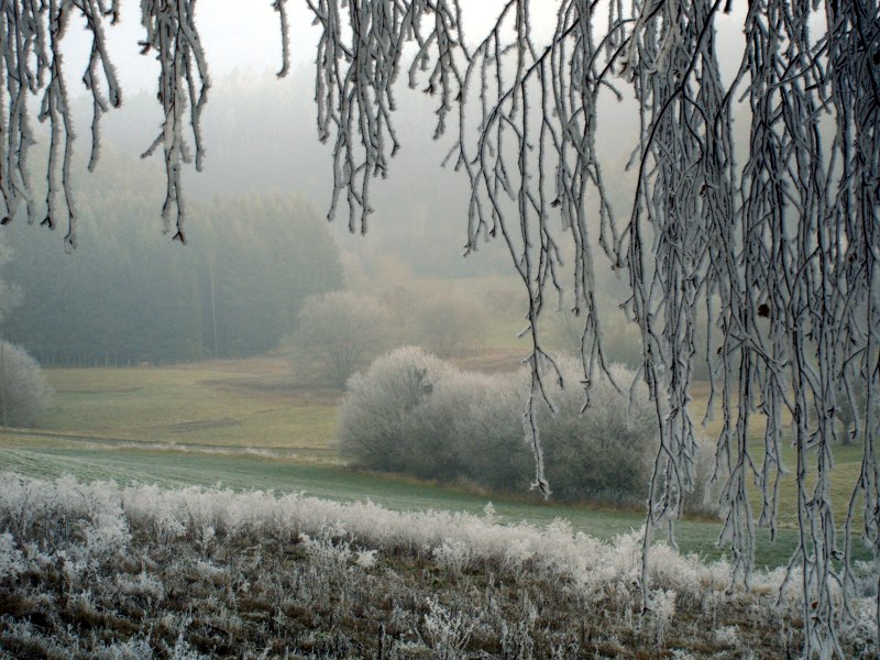 Am Oberrhein- Klettgau- bei Erzingen - -4 Grad