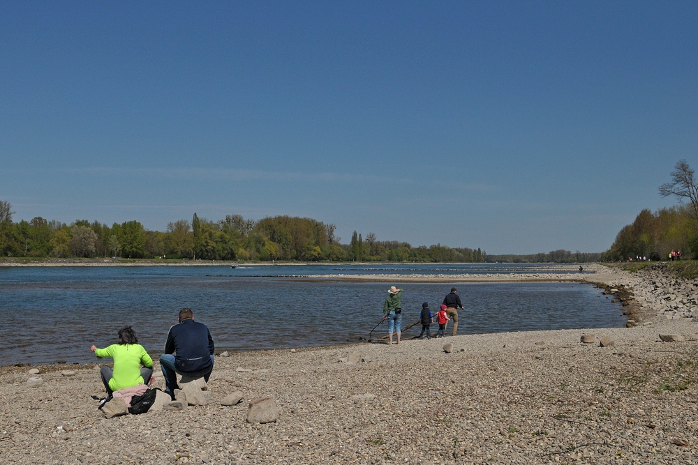 Am Oberrhein: Regulierungsfolgen und Renaturierungs – Hoffnungen 06