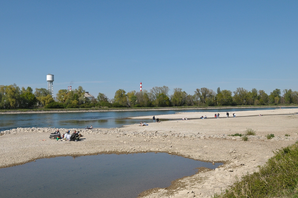 Am Oberrhein: Regulierungsfolgen und Renaturierungs – Hoffnungen 22