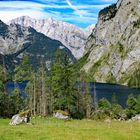 Am Obersee