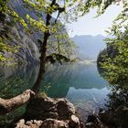 Am Obersee (2018_09_18_EOS 6D Mark II_6888_ji)