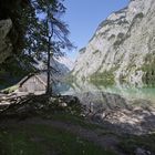 Am Obersee (2018_09_18_EOS 6D Mark II_6922_ji)