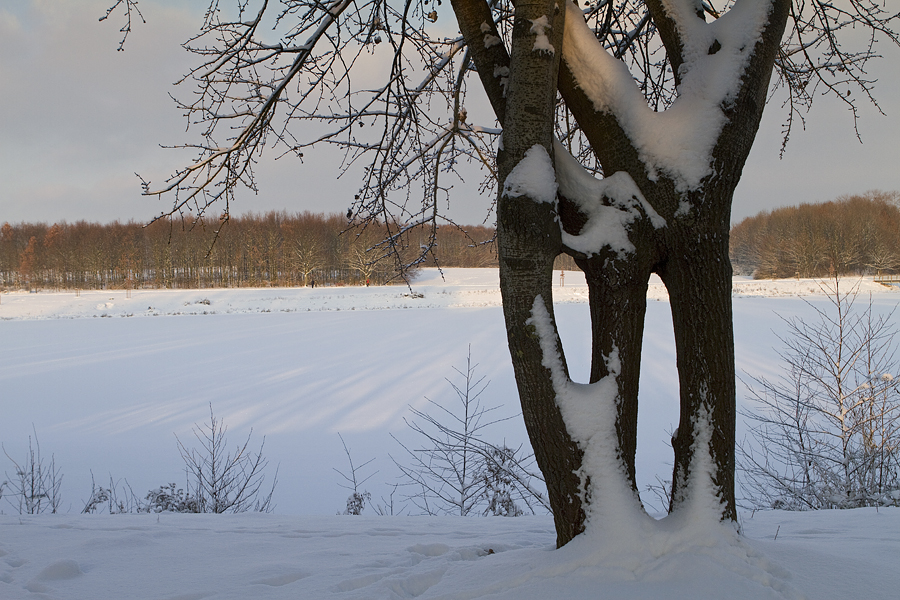 Am Obersee II