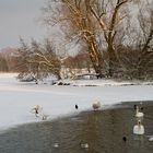 Am Obersee VIII