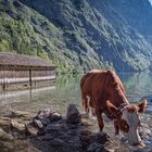 Am Obersee wird man persönlich empfangen 