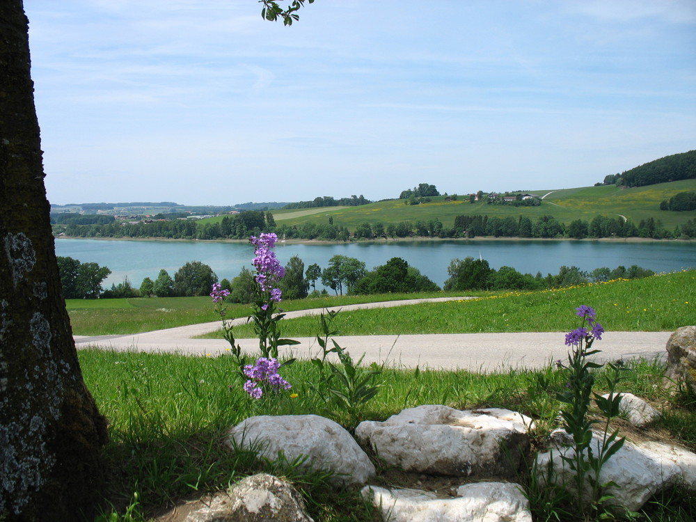 Am Obertrumer See