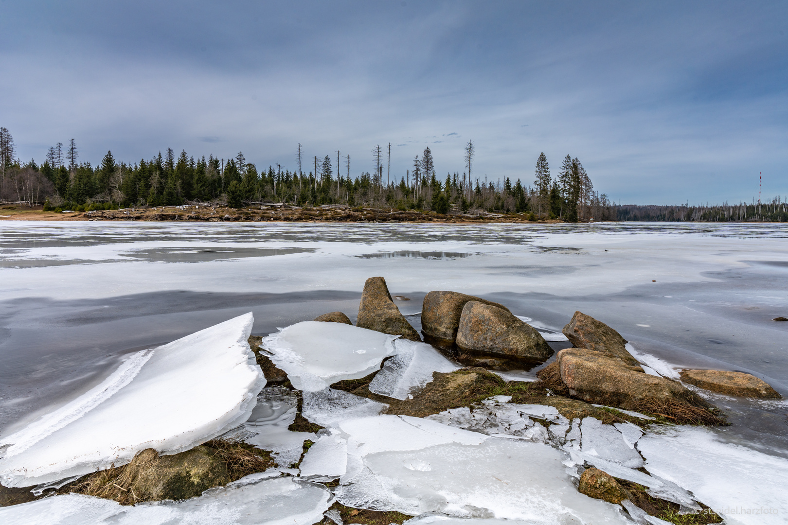 Am Oderteich im Harz