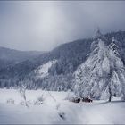 Am Oedensee