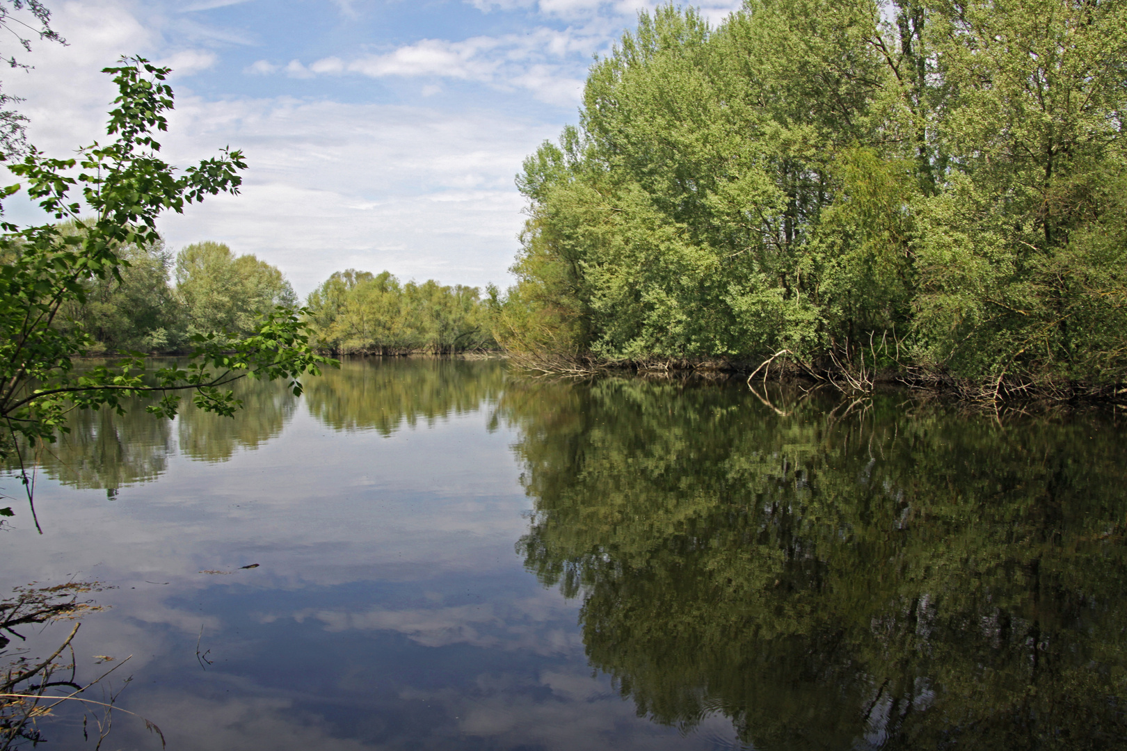 Am Ölper See