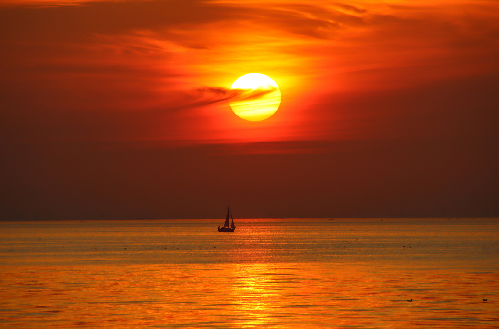 Am Öresund