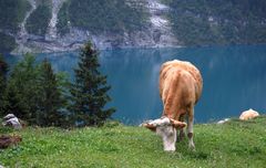 Am Oeschinensee