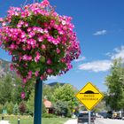 .... am Okanagan Lake