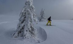 Am Olymp des Bayrischen Wald