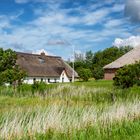 Am Ortsrand von Westerhever