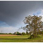 Am Ortsrand vor dem Gewitter