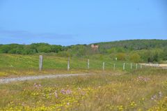 Am Ost Deich Insel Hiddensee 