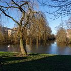 am Osterbek Kanal