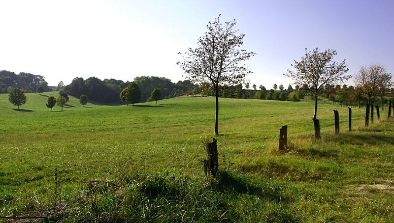 Am Osterberg