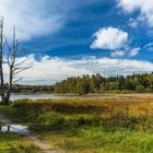 Am Ostersee