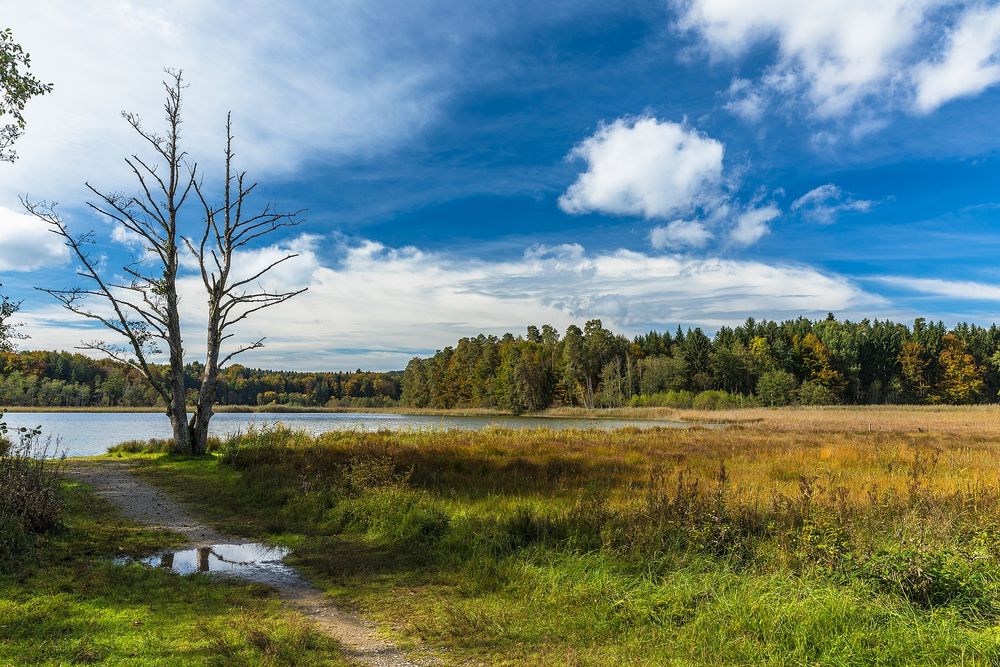 Am Ostersee