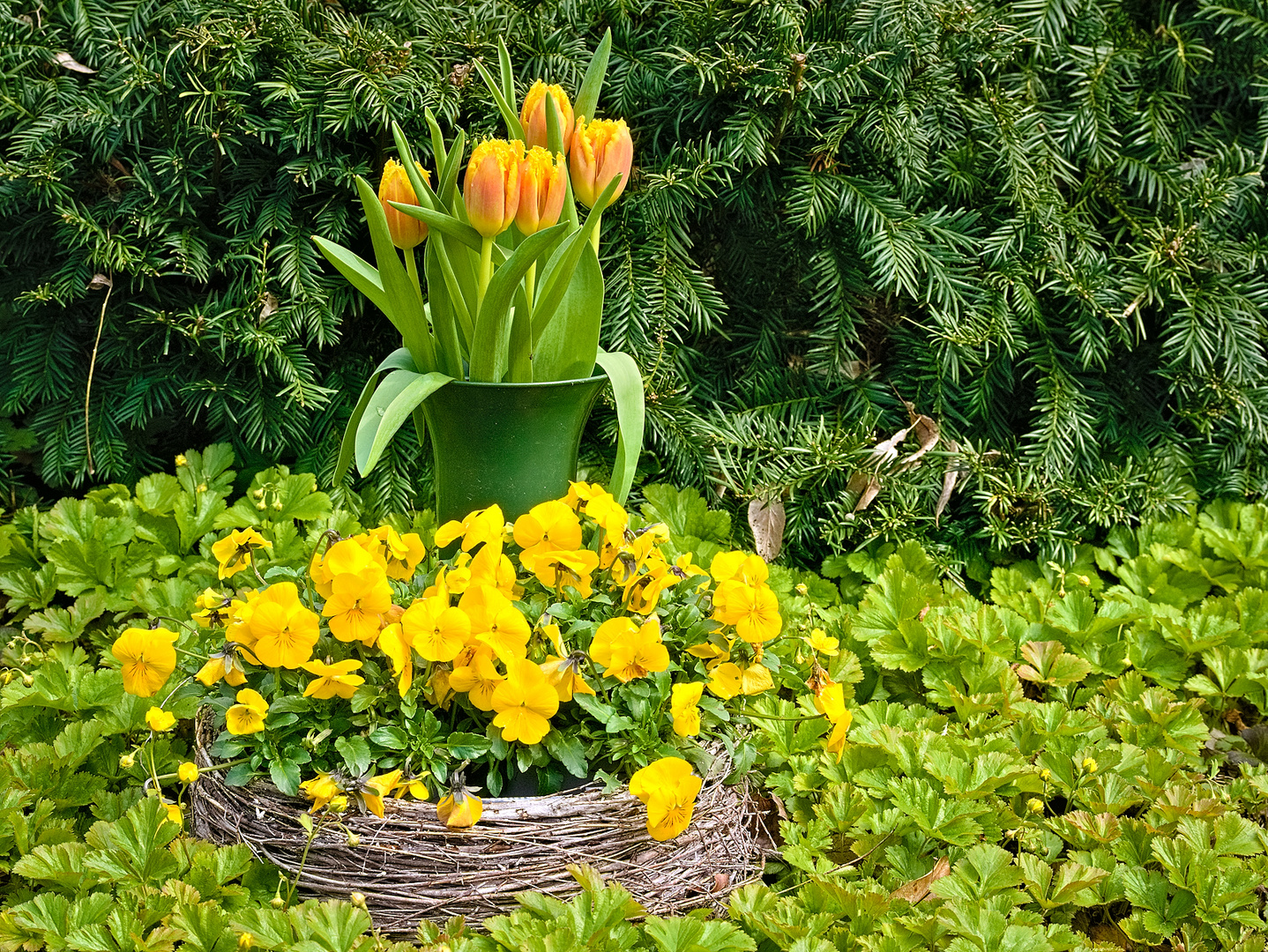 Am Ostersonntag auf dem Friedhof