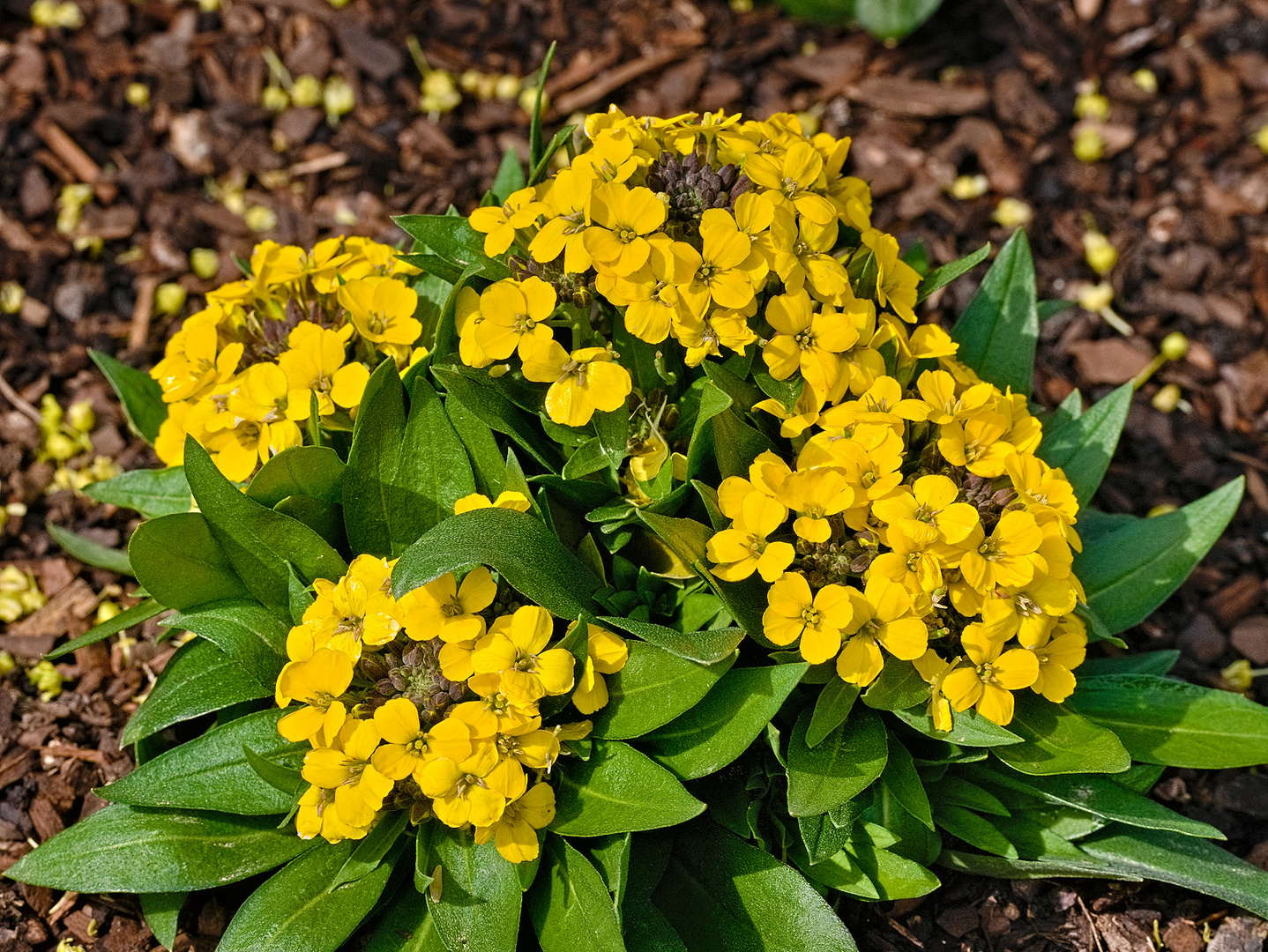 Am Ostersonntag auf dem Friedhof