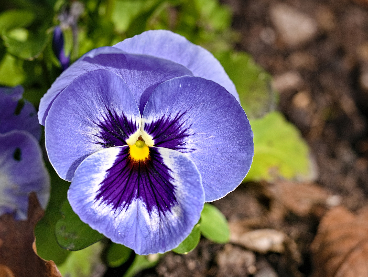 Am Ostersonntag auf dem Friedhof