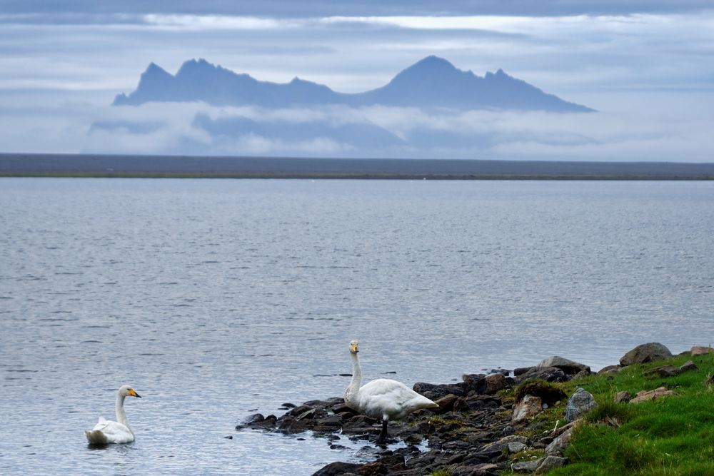 am Ostfjord