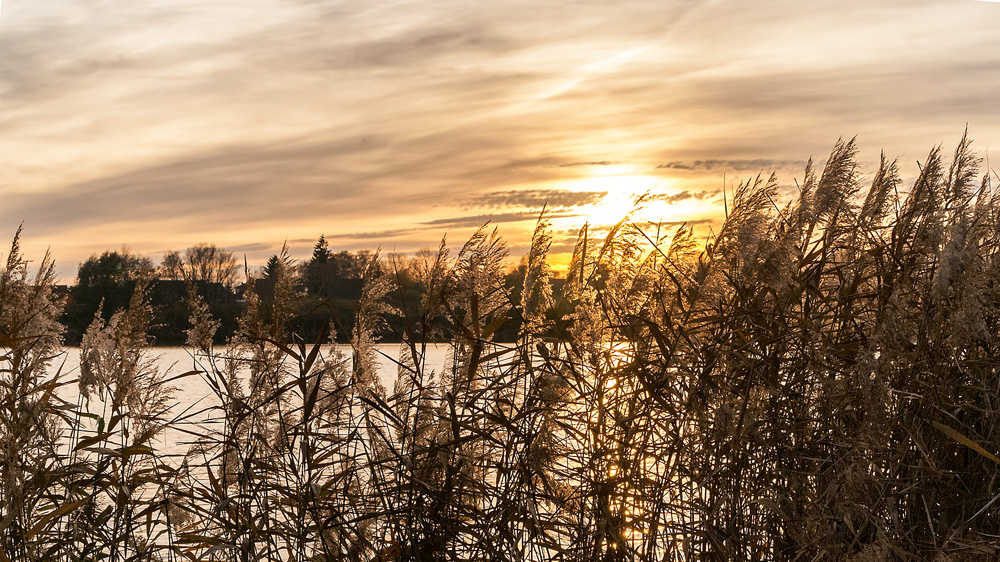 Am Ostorfer See