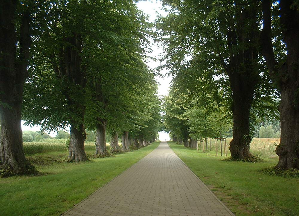 ~ Am Ostsee-Radweg ~