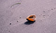 Am Ostsee-Strand