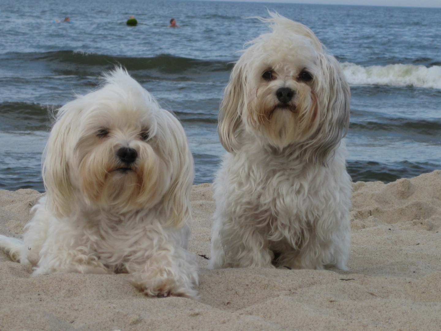 Am Ostseestrand