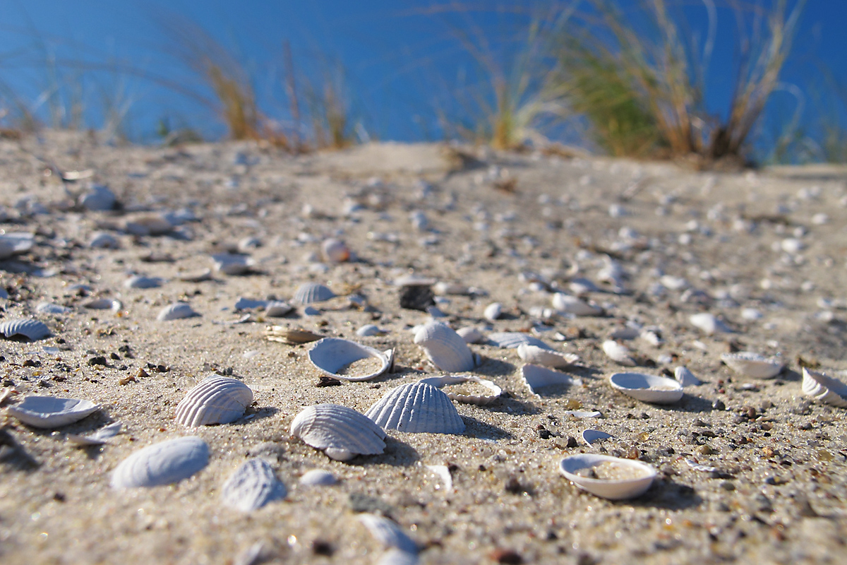 Am Ostseestrand...