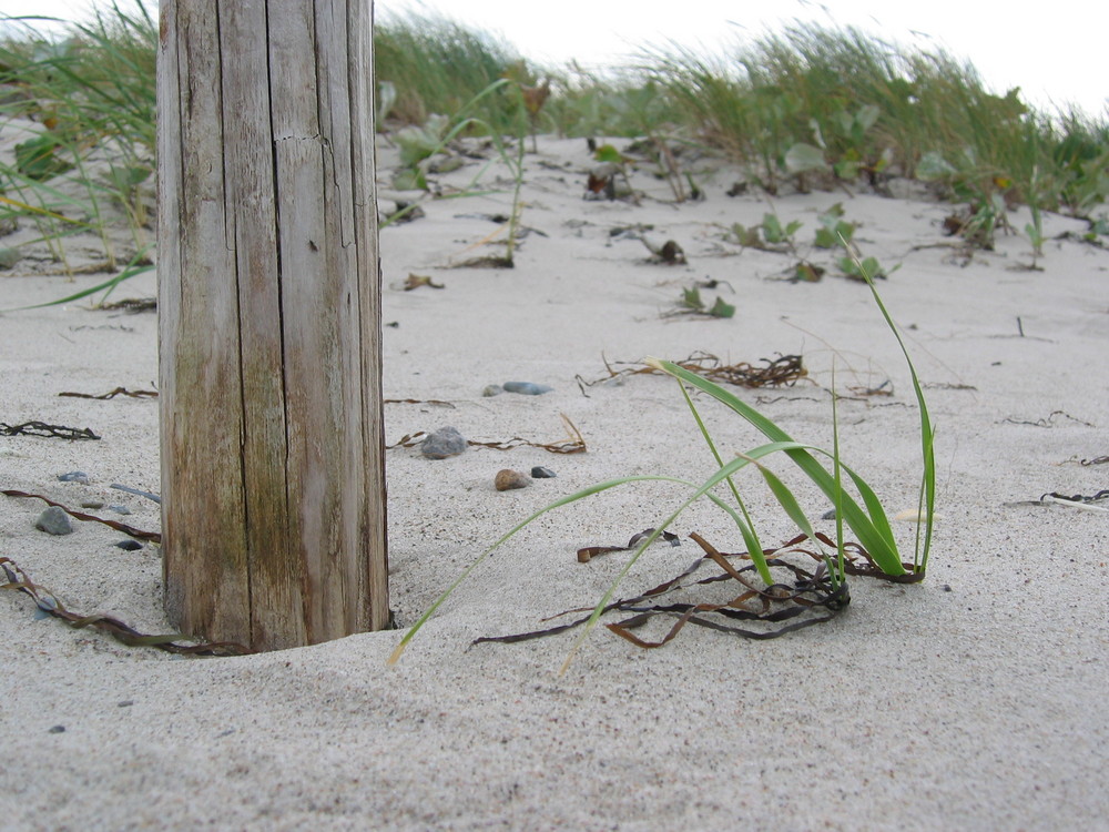 Am Ostseestrand