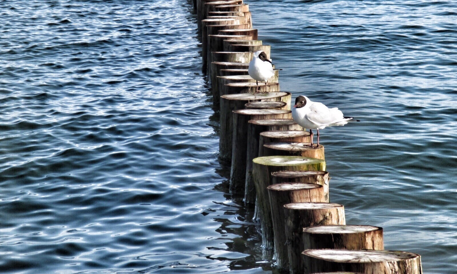 Am Ostseestrand