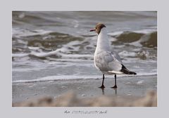 Am Ostseestrand