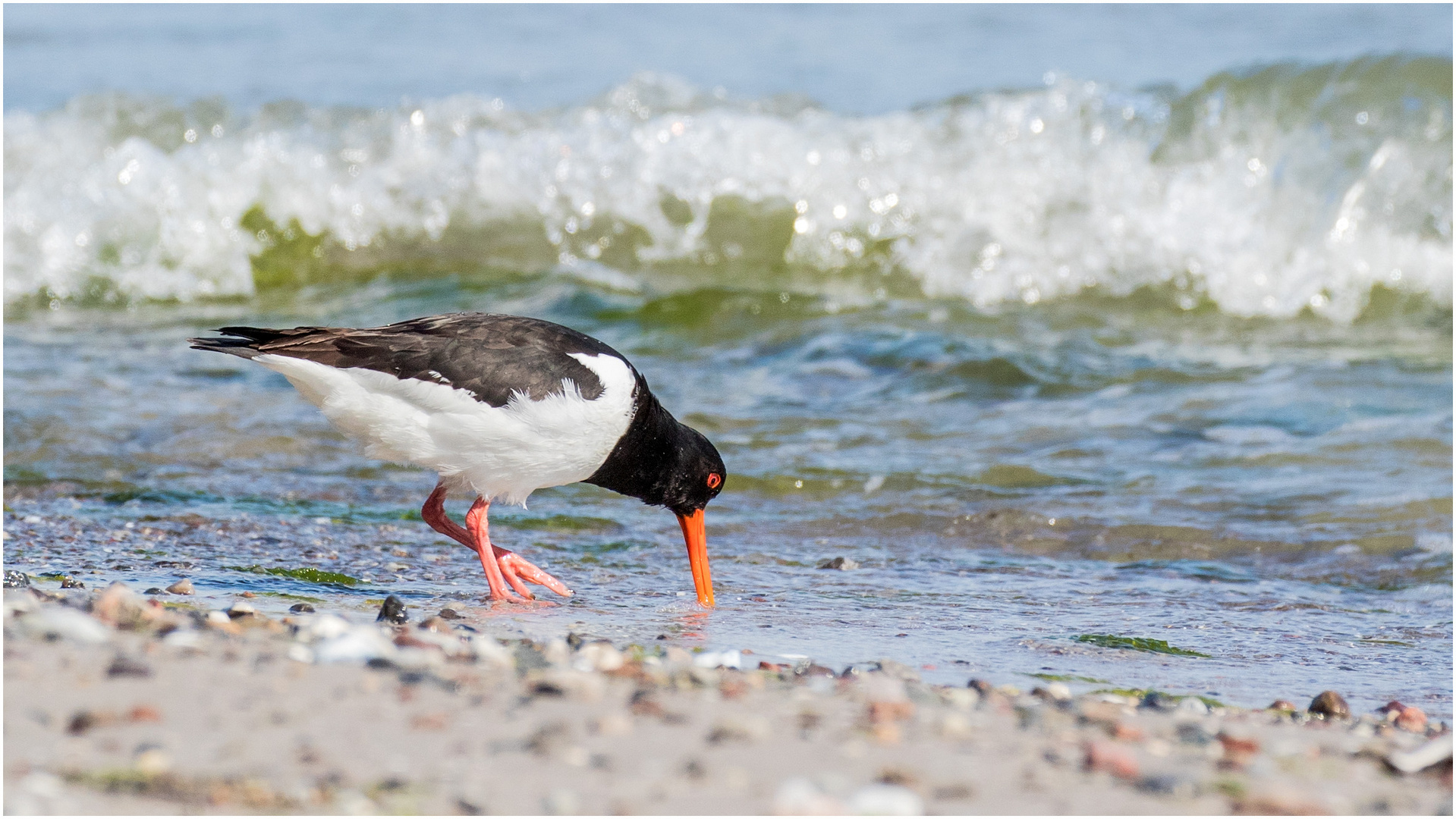 am Ostseestrand  .....