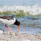 am Ostseestrand  .....