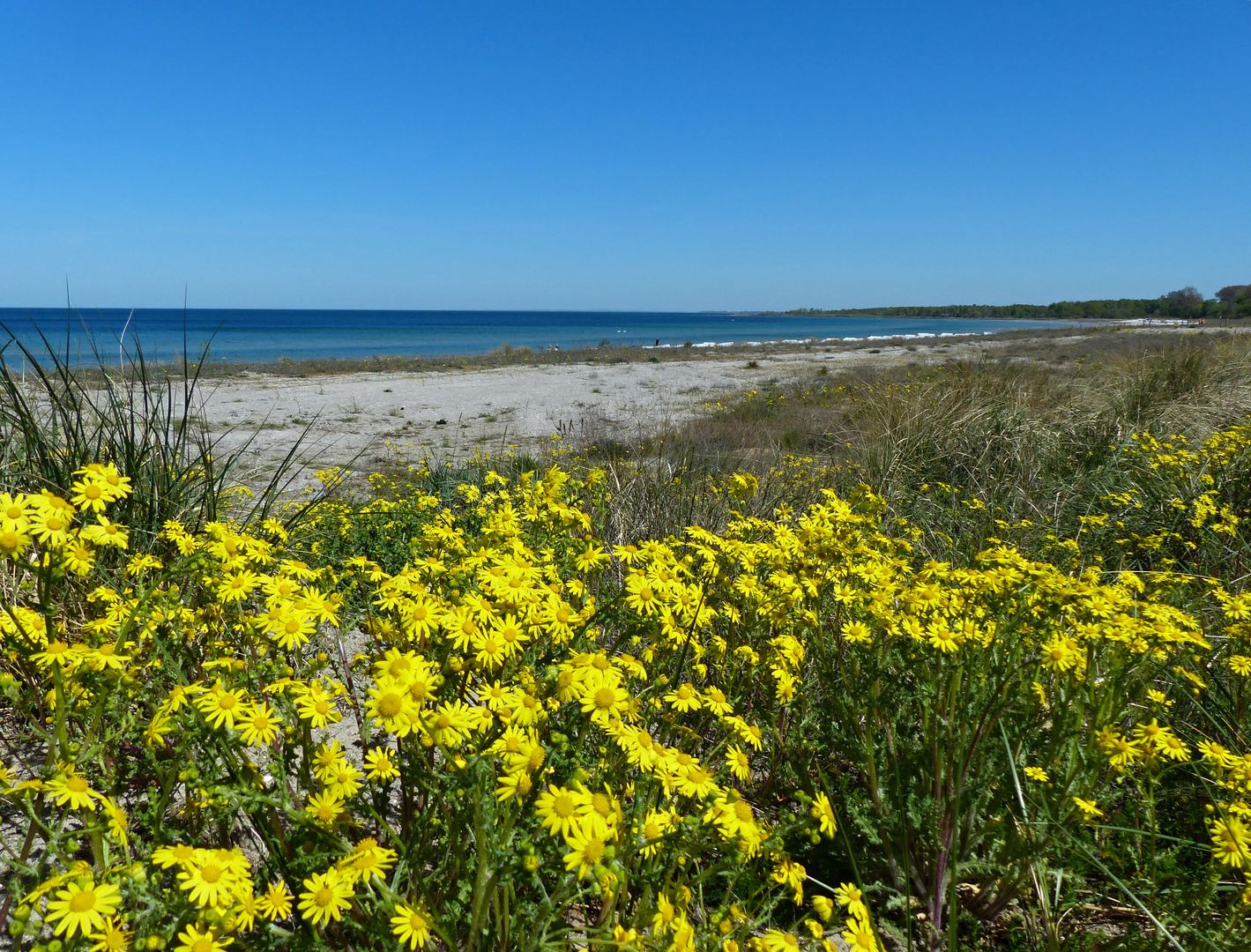 am Ostseestrand