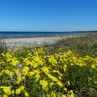 am Ostseestrand