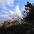 Am Ostseestrand von Niechorze (Horst) in Hinterpommern