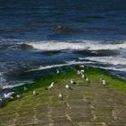 am Oststrand auf der Insel Norderney