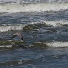 am Oststrand auf Norderney