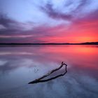 Am Ostufer des Starnberger See im Sonnenuntergang