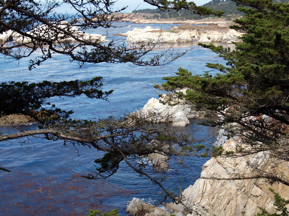 Am Pacific Coast Highway