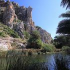 Am Palmenstrand von Preveli