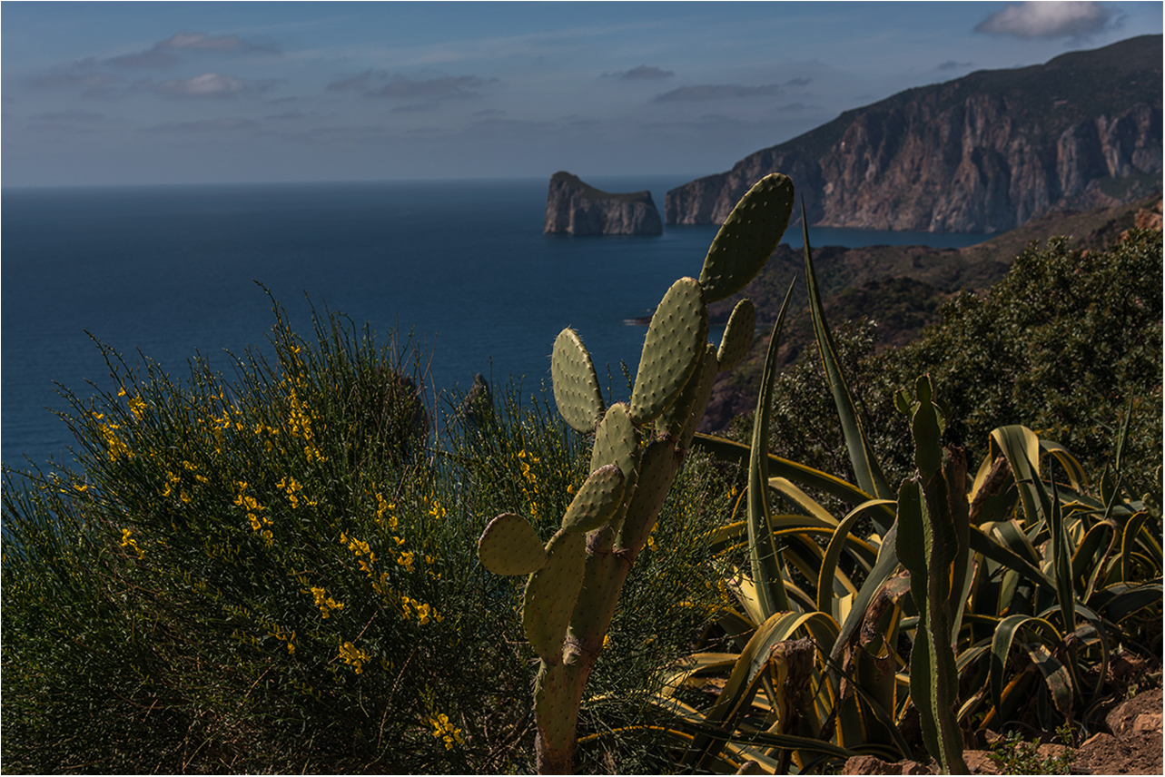 am Panoramaweg in Nebida, Sardinien