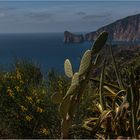 am Panoramaweg in Nebida, Sardinien