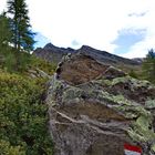 Am Panoramaweg in Pfelders - Südtirol