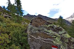 Am Panoramaweg in Pfelders - Südtirol